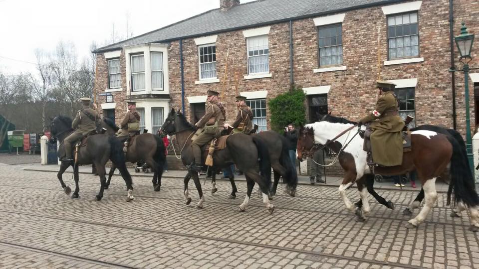 army horses for sale